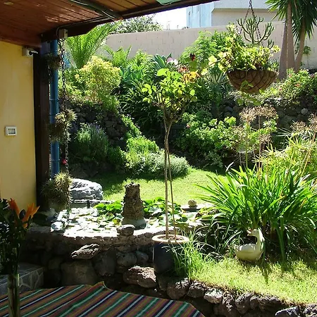 Apartamento F3884 Studio In El Tanque *