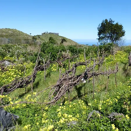 Lägenhet F3884 Studio In El Tanque Caleta de Interián