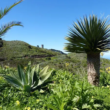 דירה F3884 Studio In El Tanque Caleta de Interián