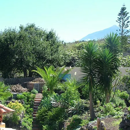 דירה F3884 Studio In El Tanque *